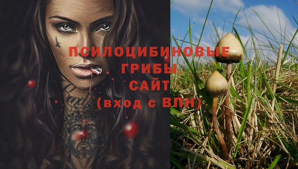 прущие крисы Дмитров