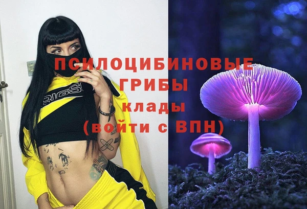 мет Елизово