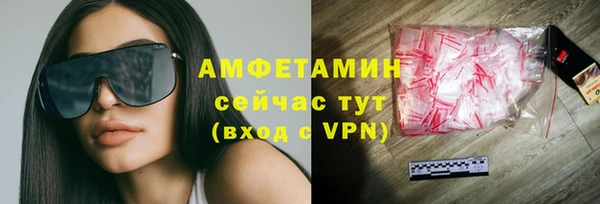 apvp Ельня