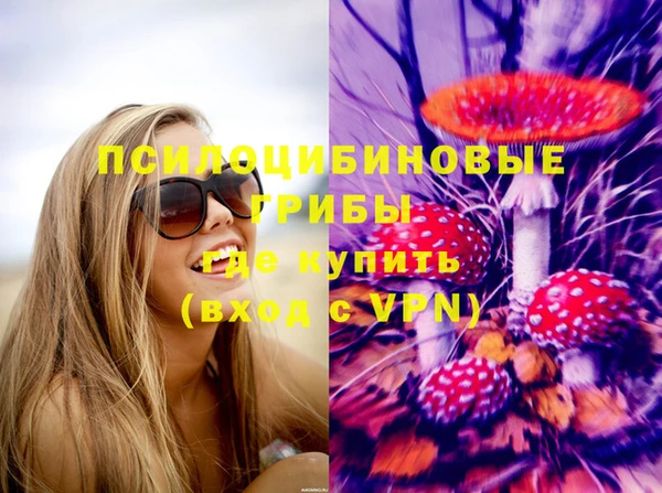apvp Ельня